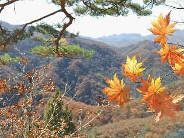 廣東新北江制藥有限公司，歷史沿革、成就與未來展望